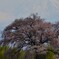 富士は遠い