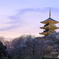 桜色の夕暮れ