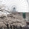 Ferris wheel