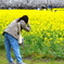 桜まつり