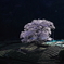 茶畑と桜