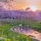 朝の草場川