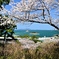 西公園から志賀島を望む