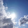 久しぶりの良い天気