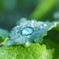 雨のち晴れ