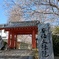 桜～安倍晴明ゆかりの地にて～