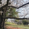 朝の公園にて。