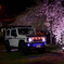 夜桜ジムニー