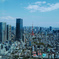 彼女が東京タワーを好きな理由