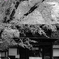 お散歩日和