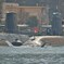 海上自衛隊