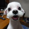 サッパリ