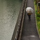 雨のストリートフォト