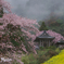 伊万里の古寺