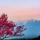 朝を待つ里の春