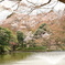 日本庭園