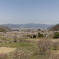 千曲市 杏の里 2025年4月