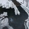 春は、どこまで？