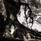 DSCF0722