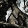 DSCF0738