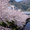 生田川公園