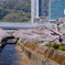 生田川公園