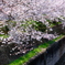 生田川公園