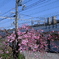 生田川公園