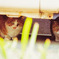 おびえねこ