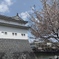 駿府城公園　　東御門