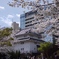 駿府城公園　坤櫓
