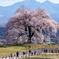 里山の春