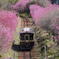 花桃列車