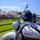 ライダーは桜狩