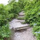 2011 07 18_5430