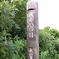 2011 07 18_5470