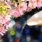 花手水