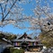 数年ぶりの訪問