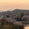 桜咲く入学式の朝