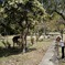 PEACEFUL PARK   inclusive world