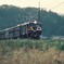 薄暮の両毛線をゆくお召列車