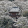 常勝寺