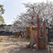 遊具と桜公園