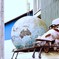 around the world