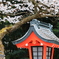 桜の季節　1