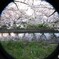 DSCF6946