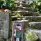猫の道01
