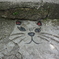 猫の道03