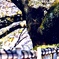 名城の桜風景