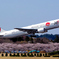春の空旅